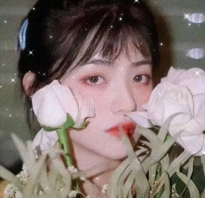 狐妖小红娘镜花缘篇
